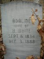 Adeline Johnson White * 1704 x 2272 * (358KB)